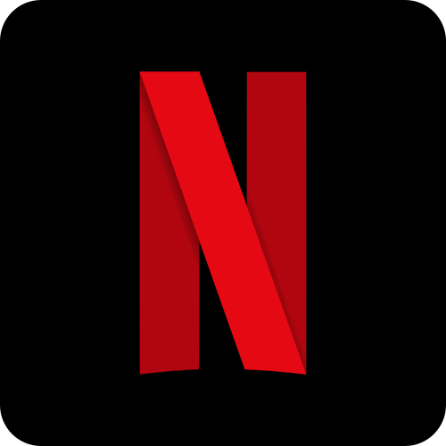 Netflix Private Screen - 30 Days